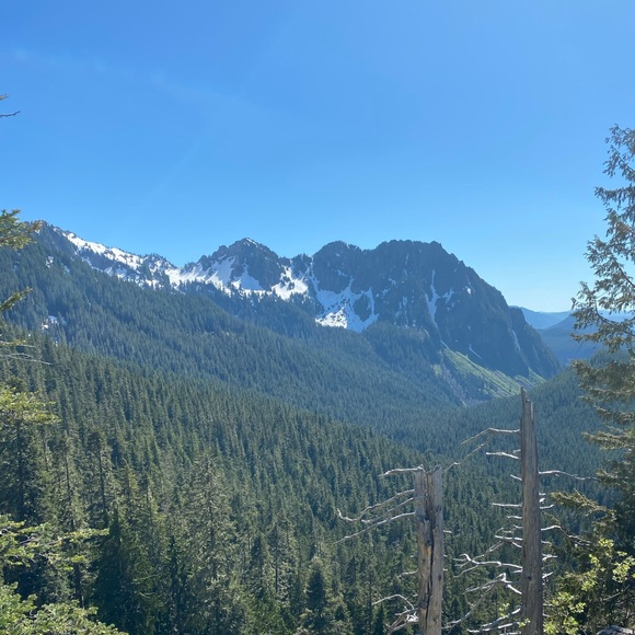 Meet your Posher, Brenda - Picture 1 of 2